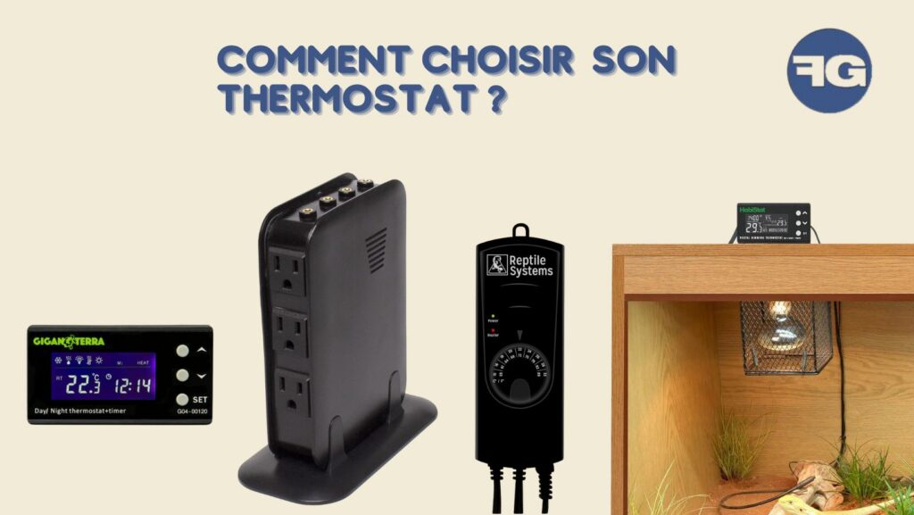 Quel thermostat choisir pour le terrarium de son reptile ?