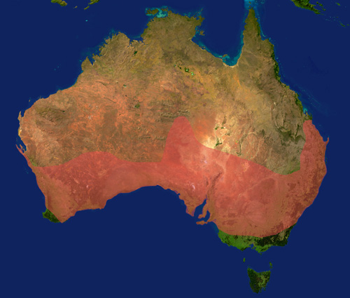 carte-de-repartition-underwoodisaurus-milii